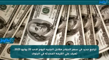 تراجع جديد في سعر الدولار مقابل الجنيه اليوم الأحد 20 يوليو 2025.. تعرف على القيمة المحدثة في البنوك